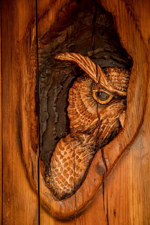 The Hobbit House, Fantasy Comes Home! Russellville Extérieur photo